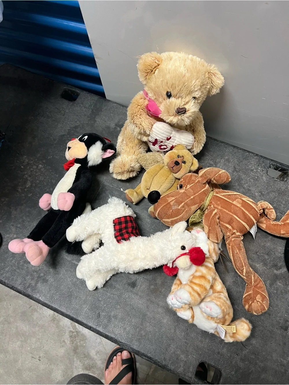 Plush Pet Toy Bundle - Assorted Colors Soft Small Pets